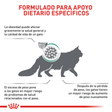 VHN SATIETY CAT - FORMULA ESPECIFICA
